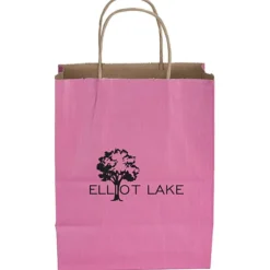 Tonal Striped Matte Paper Bag - 10 1/2 inches x 8 inches