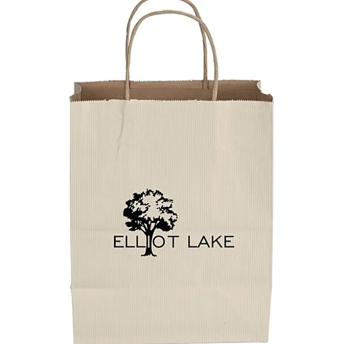 Tonal Striped Matte Paper Bag - 10 1/2 inches x 8 inches