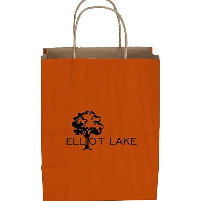 Tonal Striped Matte Paper Bag - 10 1/2 inches x 8 inches