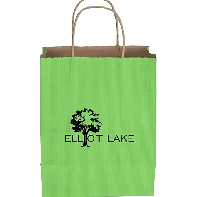 Tonal Striped Matte Paper Bag - 10 1/2 inches x 8 inches