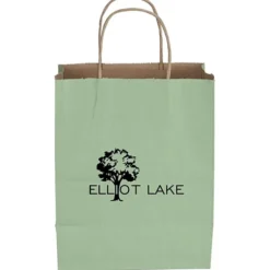 Tonal Striped Matte Paper Bag - 10 1/2 inches x 8 inches