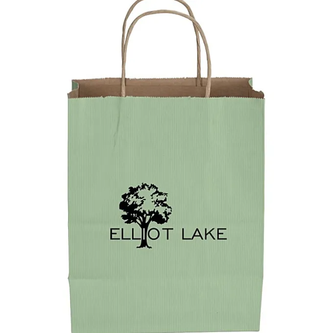Tonal Striped Matte Paper Bag - 10 1/2 inches x 8 inches