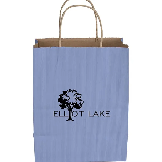 Tonal Striped Matte Paper Bag - 10 1/2 inches x 8 inches