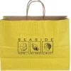 Tonal Striped Matte Paper Bag - 13 inches x 16 inches