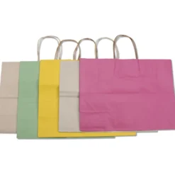 Tonal Striped Matte Paper Bag - 13 inches x 16 inches