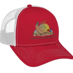 Transporter Snapback Meshback Cap