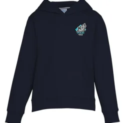 Triumph Performance Hoodie - Youth - Embroidered
