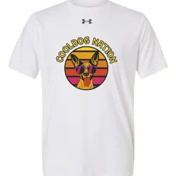 Under Armour Team Vanish T-Shirt - Men's - Full Color