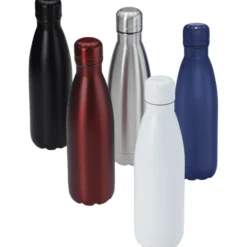 Vacuum Insulated Bottle - 17 oz