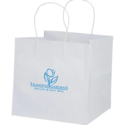 White Kraft Wide Gusset Paper Bag - 10 inches x 10-1/4 inches