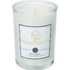 Zen Scented Tumbler Candle - 7 oz. - Berry Spice